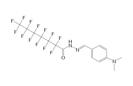 heptanoic acid, 2,2,3,3,4,4,5,5,6,6,7,7,7-tridecafluoro-, 2-[(E)-[4-(dimethylamino)phenyl]methylidene]hydrazide
