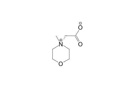 2-(4-methylmorpholin-4-ium-4-yl)acetate