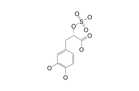TICHOCARPOL-B;3-(3',4'-DIHYDROXYPHENYL)-2-SULFOOXYPROPANOIC-ACID