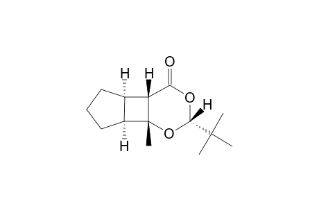 9.alpha.-tert-Butyl-1.beta.,2.alpha.,6.alpha.,9.beta.-tetrahydro-7.beta.-methyl-8,10-dioxa-11-oxotricyclo[6.4.0.0(2,6)]undecane