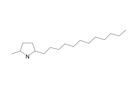 2-Dodecyl-5-methylpyrrolidine