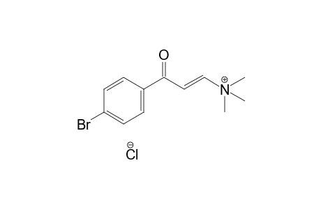 trans-[3-(p-bromophenyl)-3-oxopropenyl]trimethylammonium chloride