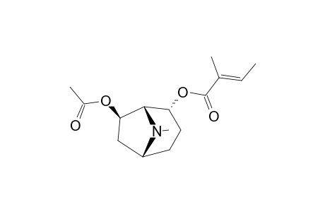 IPVELUTINE;7-BETA-ACETOXY-2-ALPHA-(TIGLOYLOXY)-TROPANE;(1S,2S,5R,7R)-7-(ACETYLOXY)-8-METHYL-8-AZABICYCLO-[3.2.1]-OCT-2-YL-(2E)-2-METHYLBUT-2-ENOATE