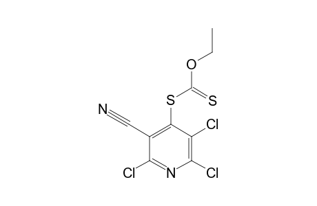 S-(2,3,6-TRICHLORO-5-CYANO-4-PYRIDYL)-ETHYLXANTHATE