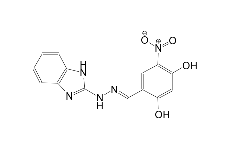 2,4-dihydroxy-5-nitrobenzaldehyde 1H-benzimidazol-2-ylhydrazone