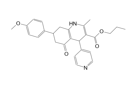 propyl 7-(4-methoxyphenyl)-2-methyl-5-oxo-4-(4-pyridinyl)-1,4,5,6,7,8-hexahydro-3-quinolinecarboxylate