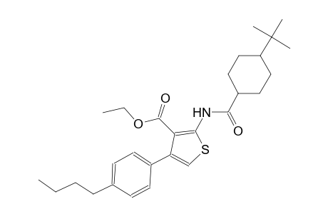 ethyl 2-{[(4-tert-butylcyclohexyl)carbonyl]amino}-4-(4-butylphenyl)-3-thiophenecarboxylate