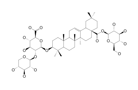 PSEUDO-GINSENOSIDE-RT1;3-O-BETA-[XYLOPYRANOSYL-(1->2)-GLUCURONOPYRANOSYL]-OLEANOLIC-ACID-28-O-GLUCOPYRANOSYLESTER