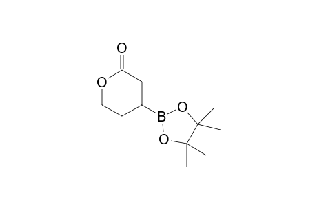 4-(4,4,5,5-tetramethyl-1,3,2-dioxaborolan-2-yl)tetrahidropyran-2-one