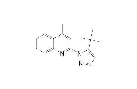 2-(5-tert-BUTYL-PYRAZOL-1-YL)-4-METHYL-QUINOLINE