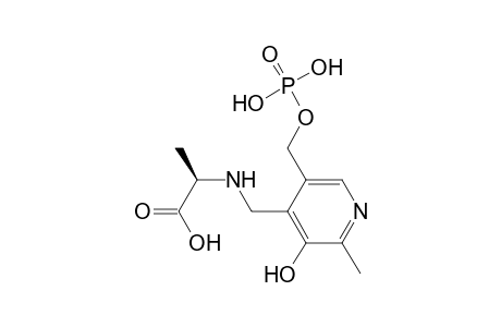 (2R)-2-[[2-methyl-3-oxidanyl-5-(phosphonooxymethyl)pyridin-4-yl]methylamino]propanoic acid