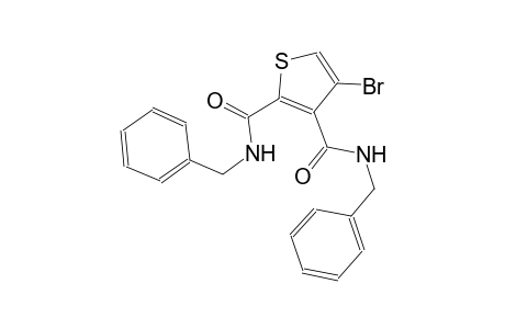 N~2~,N~3~-dibenzyl-4-bromo-2,3-thiophenedicarboxamide