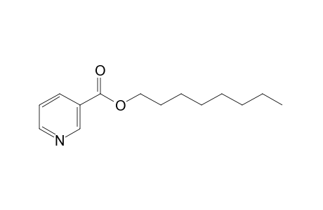 nicotinic acid, octyl ester