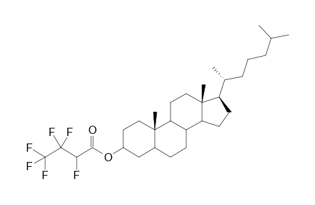 Cholestanyl 2-hydroperfluorobutanoate