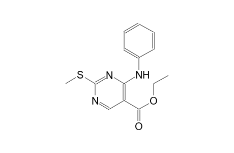 ethyl 4-anilino-2-(methylsulfanyl)-5-pyrimidinecarboxylate