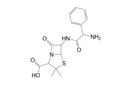 Ampicillin MS2