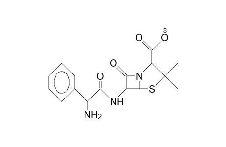 (.alpha.-Amino-benzyl)-penicillin anion
