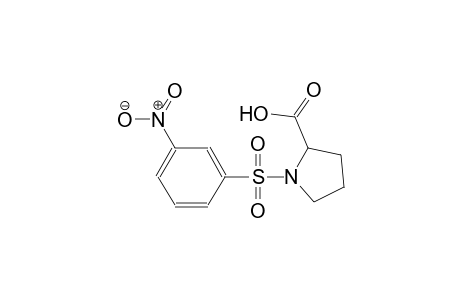 1-[(3-nitrobenzene)sulfonyl]pyrrolidine-2-carboxylic acid