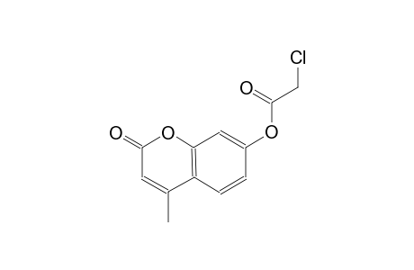 4-methyl-2-oxo-2H-chromen-7-yl chloroacetate