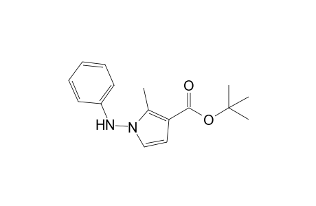 tert-Butyl N-Anilino-2-methylpyrrole-3-carboxylate