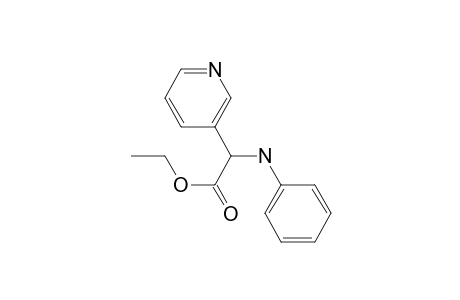 dl-N-Phenyl-pyrid-3-yl-glycinethylester