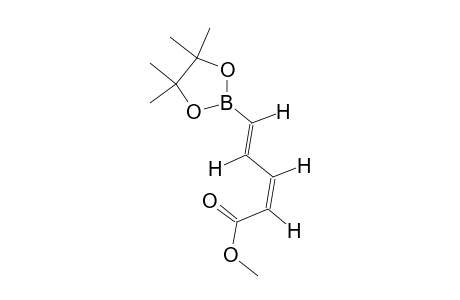 METHYL-5-(4,4,5,5-TETRAMETHYL-1,3,2-DIOXABOROLAN-2-YL)-PENTA-2Z,4E-DIENOATE