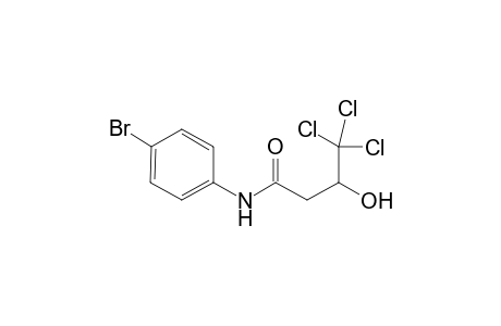 N-(4-Bromophenyl)-4,4,4-trichloro-3-hydroxybutanamide
