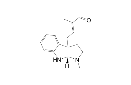 Pseudophrynamine