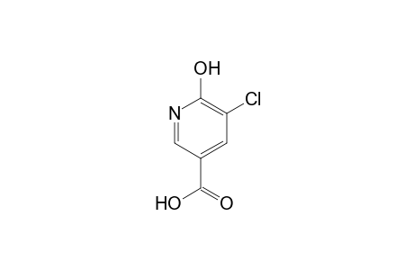 5-Chloro-6-hydroxy-nicotinic acid