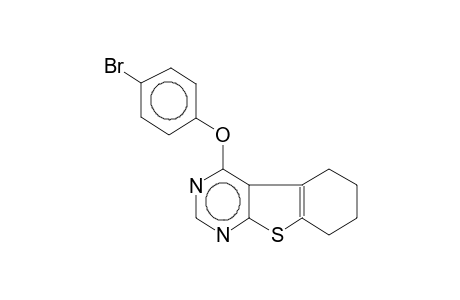 4-(4-bromophenoxy)-5,6,7,8-tetrahydrobenzo[4,5]thieno[2,3-d]pyrimidine