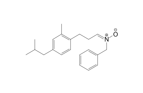 (E)-N-benzyl-3-(4-isobutyl-2-methylphenyl)propan-1-imine oxide