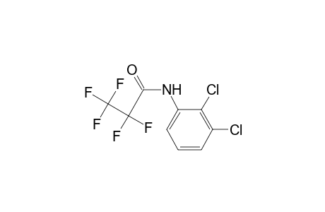 N-pentafluoropropionyl 2,3-dichloroaniline