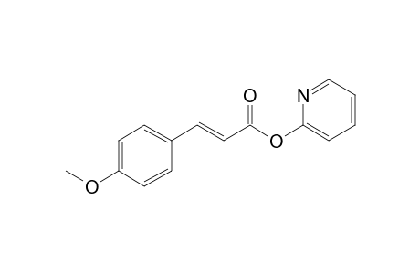 (E)-3-(4-methoxyphenyl)-2-propenoic acid 2-pyridinyl ester