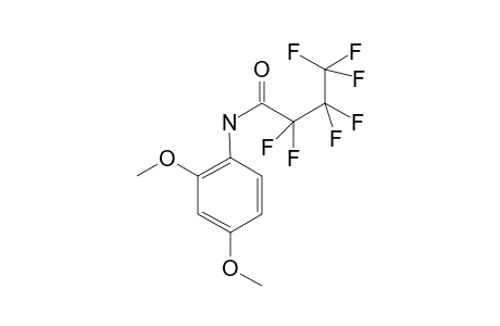 Heptafluorobutyramide, N-(2,4-dimethoxyphenyl)-