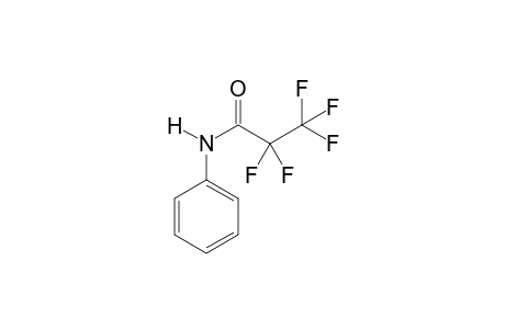 2,2,3,3,3-pentafluoro-N-phenylpropanamide