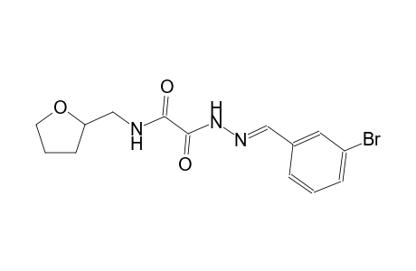 2-[(2E)-2-(3-bromobenzylidene)hydrazino]-2-oxo-N-(tetrahydro-2-furanylmethyl)acetamide