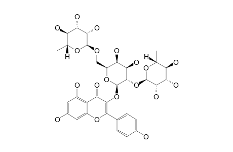 MAURITIANINA;KAEMPFEROL-3-O-(2,6-DI-O-ALPHA-L-RHAMNOPYRANOSYL)-BETA-D-GALACTOPYRANOSIDE