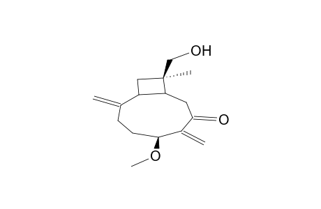 (1S,5R,9R,11S)-5-METHOXY-12-HYDROXYCARYOPHYLLA-2(15),6(14)-DIEN-7-ONE