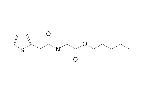 L-Alanine, N-(2-thienylacetyl)-, pentyl ester