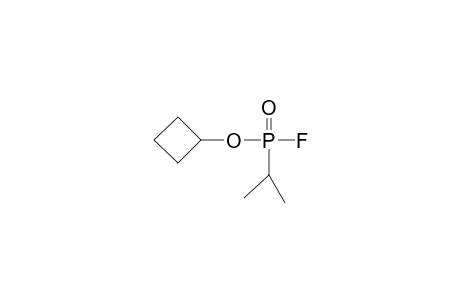 Cyclobutyl isopropylphosphonofluoridoate