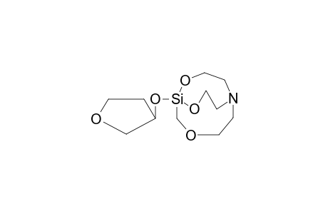 3-O-(2-CARBA-3-OXAHOMOSILATRANYL)-3-HYDROXYTETRAHYDROFURAN