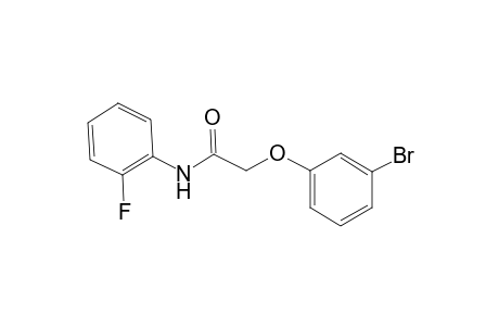 2-(3-Bromophenoxy)-N-(2-fluorophenyl)acetamide