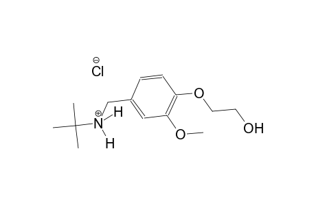 N-[4-(2-hydroxyethoxy)-3-methoxybenzyl]-2-methyl-2-propanaminium chloride