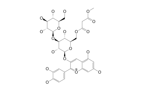 CYANIDIN-3-O-(3''-O-BETA-GLUCOPYRANOSYL-6''-O-METHYLMALONYL-BETA-GLUCOPYRANOSIDE)