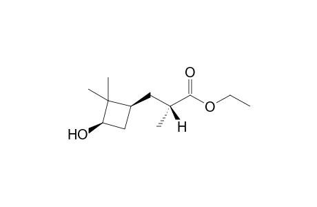Methyl (1'S,2R,3'R)-3-(3'-hydroxy-2',2'-dimethylcyclobutyl)-2-methylpropionate