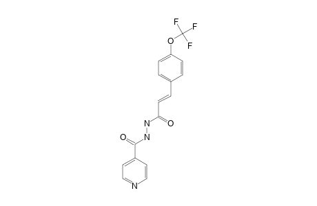 (E)-N'-[3-(4-TRIFLUOROMETHOXYPHENYL)-PROPENOYL]-ISONICOTINOHYDRAZIDE