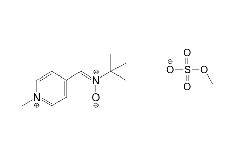 4-(N-tert-butylformimidoyl)-1-methylpyridinium methyl sulfate, N-oxide