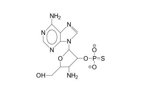 3'-Amino-3'-deoxyadenosine-2'-thionophosphate dianion