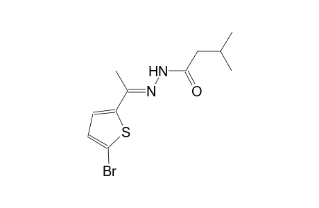 N'-[(E)-1-(5-bromo-2-thienyl)ethylidene]-3-methylbutanohydrazide