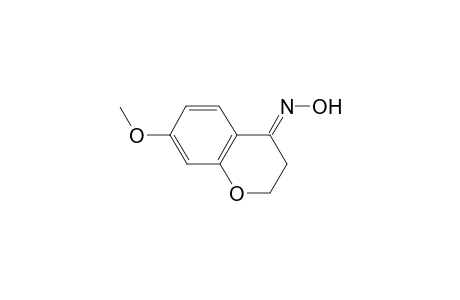 (NE)-N-(7-methoxy-2,3-dihydrochromen-4-ylidene)hydroxylamine